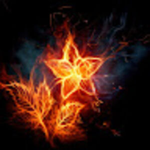 lauramandadocacho avatar