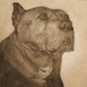 lovlovelle923 avatar