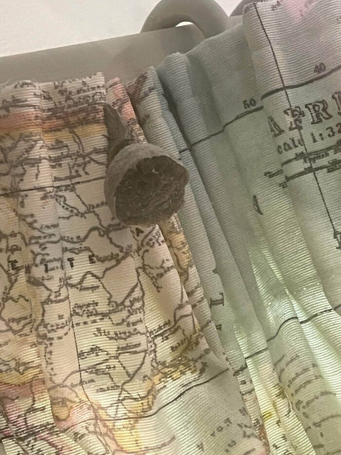 Any Clues As To What The F**k This Is? Found At My Parents House In England