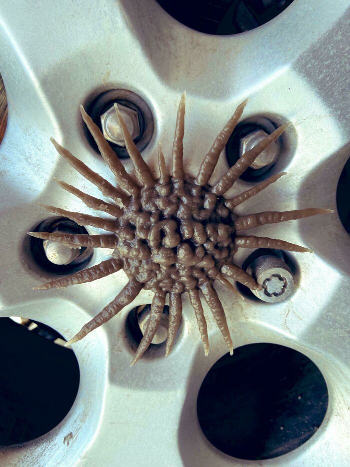 Result Of Snow/Grime On Moving Tire!