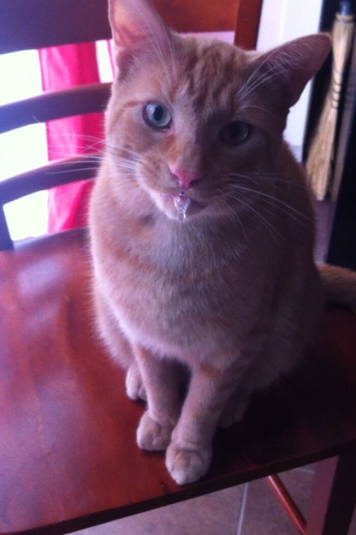 Barclay Stole A Chili Pepper