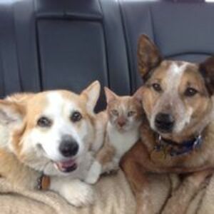 pennyvharrison avatar