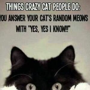 shari_mccormick13 avatar