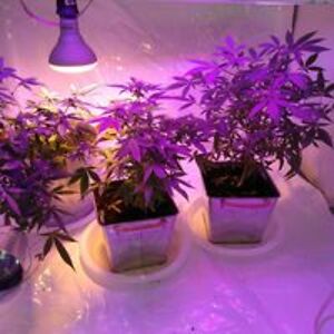 gordriley1954 avatar