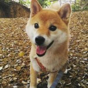 jonathan_fahey89 avatar