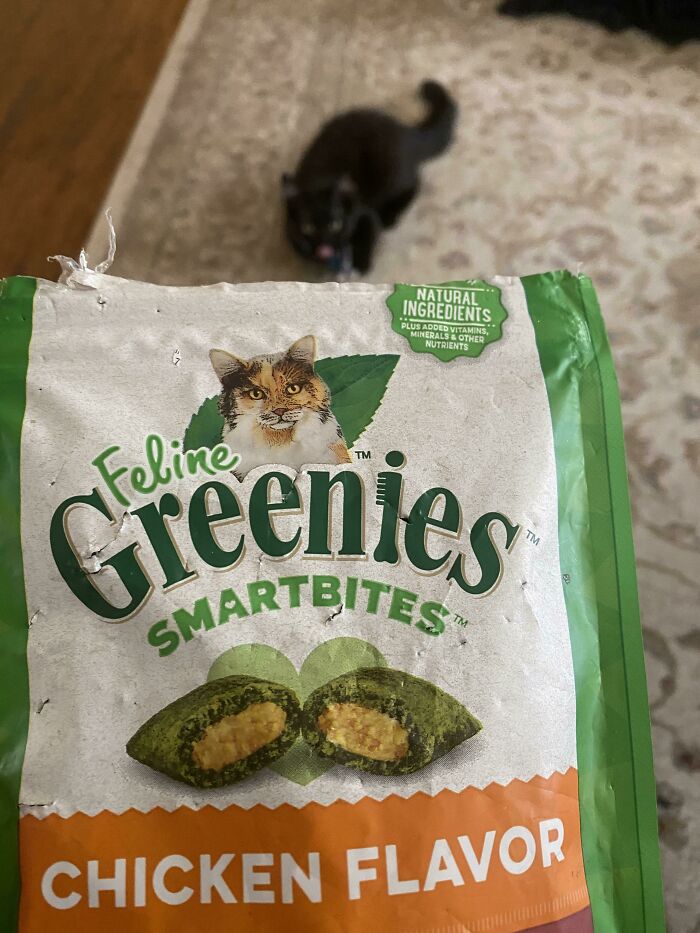 Keep Losing My Treat Bags. Now, I Know Why - They Take Them To Different Rooms To Try To Chew Through The Bag. Caught Him