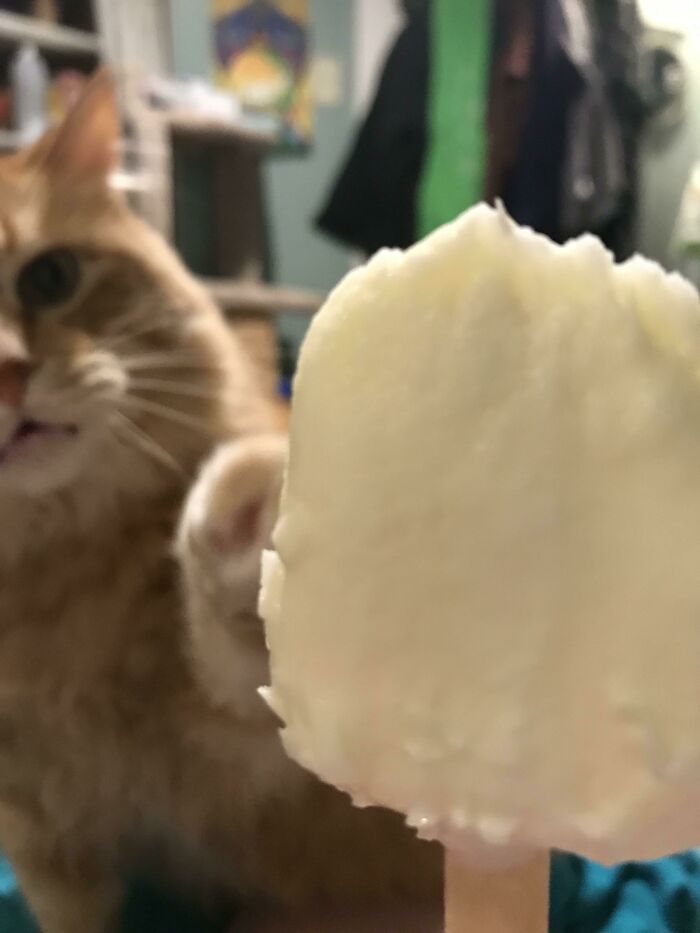 Ice Cream Stealing Jerk Strikes Again