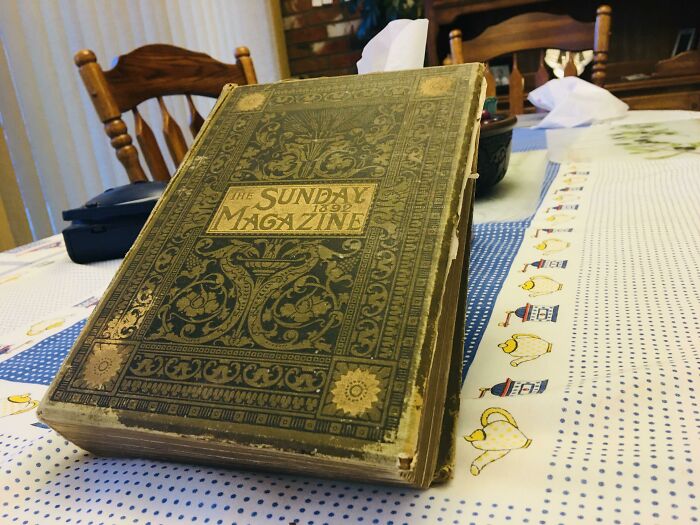 This Book From 1892 I Found Inside A Hole In The Wall In A Rental Flat Post Image