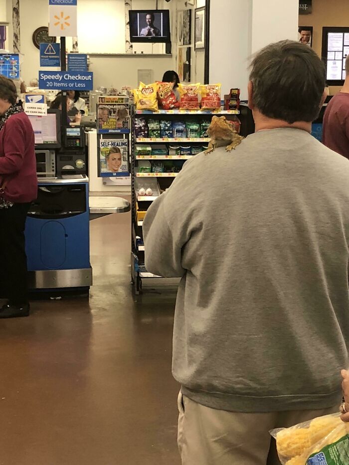 Man with a Comodo dragon on his shoulders 