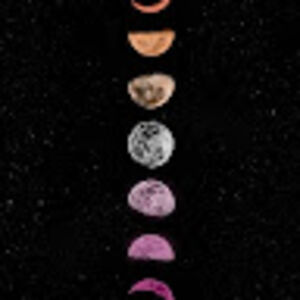 madeleinecasari avatar