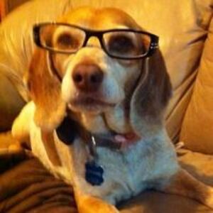 lucille_passer avatar