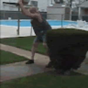 dysonalopez-eddy avatar