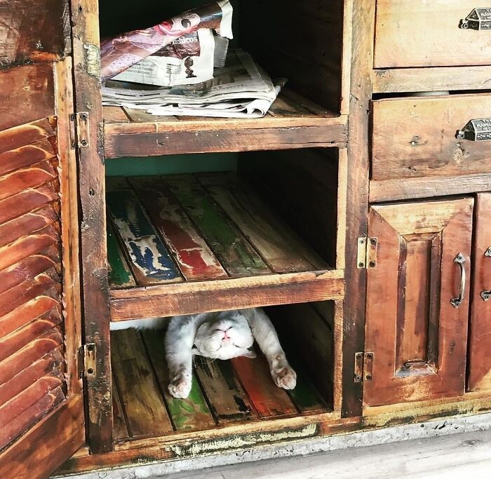 He Doesn't Know We Can See Him