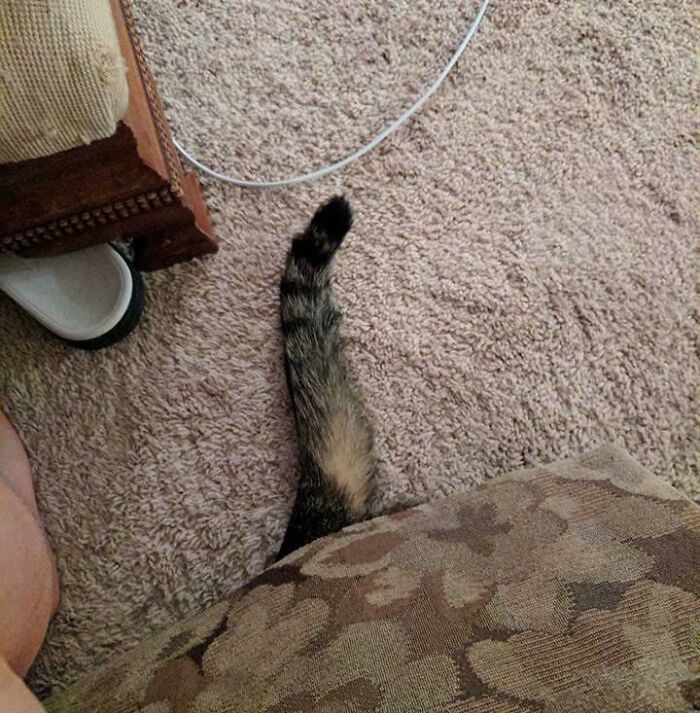 Where's Jackson? Bless His Heart. I Love This Old Guy