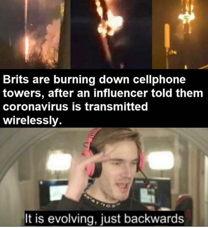 Apparently This Pandemic Eats Away Common Sense As Well