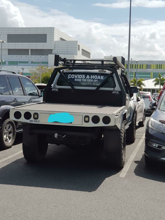 My Partner And I Found This Dude. At The Hospital Parking Lot... In The Middle Of A Pandemic.