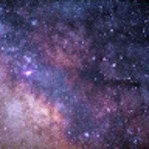 carolinekovach avatar