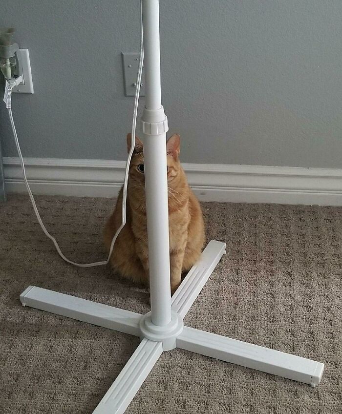 Found A Great Hiding Spot