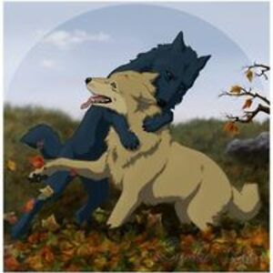 snowwinterbreezze avatar