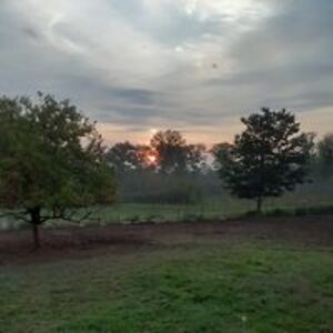 vtwoodenspoonbakery avatar