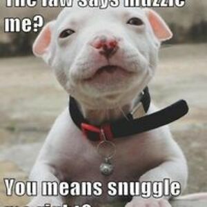 bartversteeg65 avatar