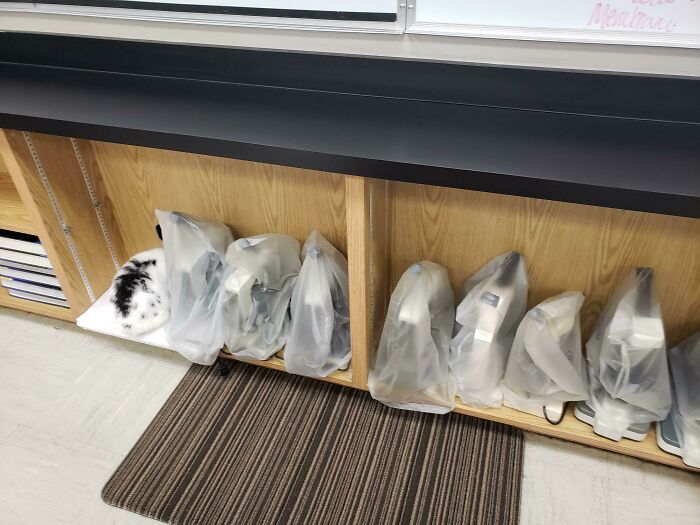 Classroom Bunny Oscar Thinks He Can Hide Because He Is Shaped Like A Microscope