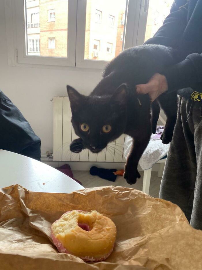 Hope You Enjoyed My Breakfast Doughnut