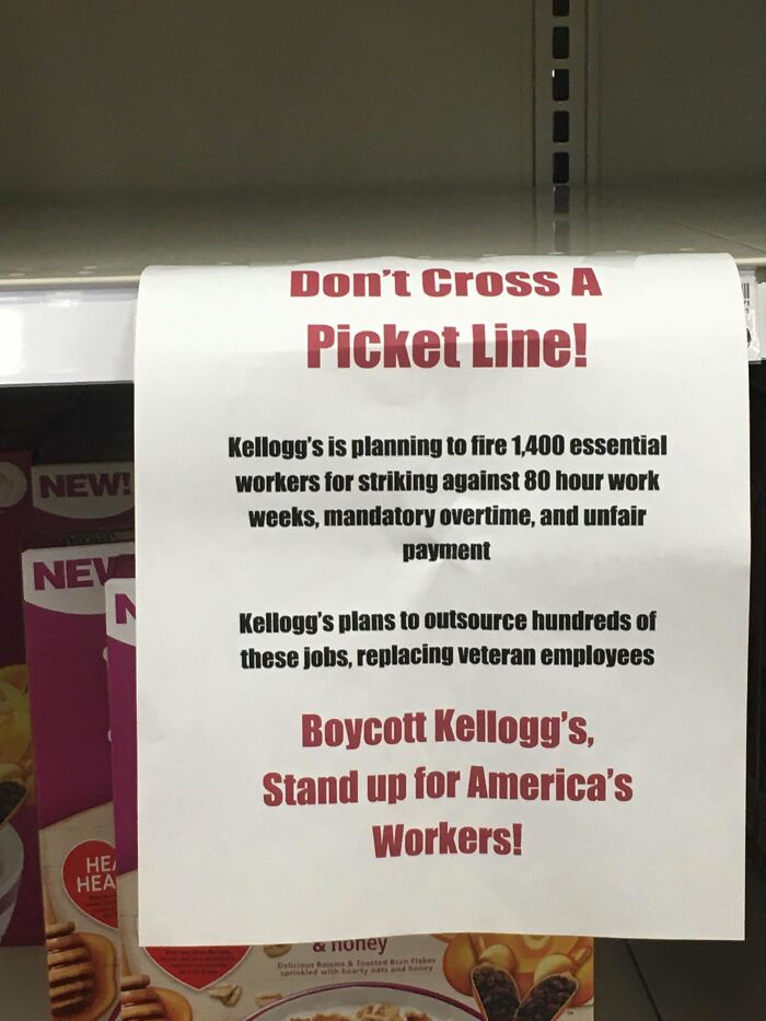 My Own Bit Of Praxis, My Local Store Is Decked With ‘Em