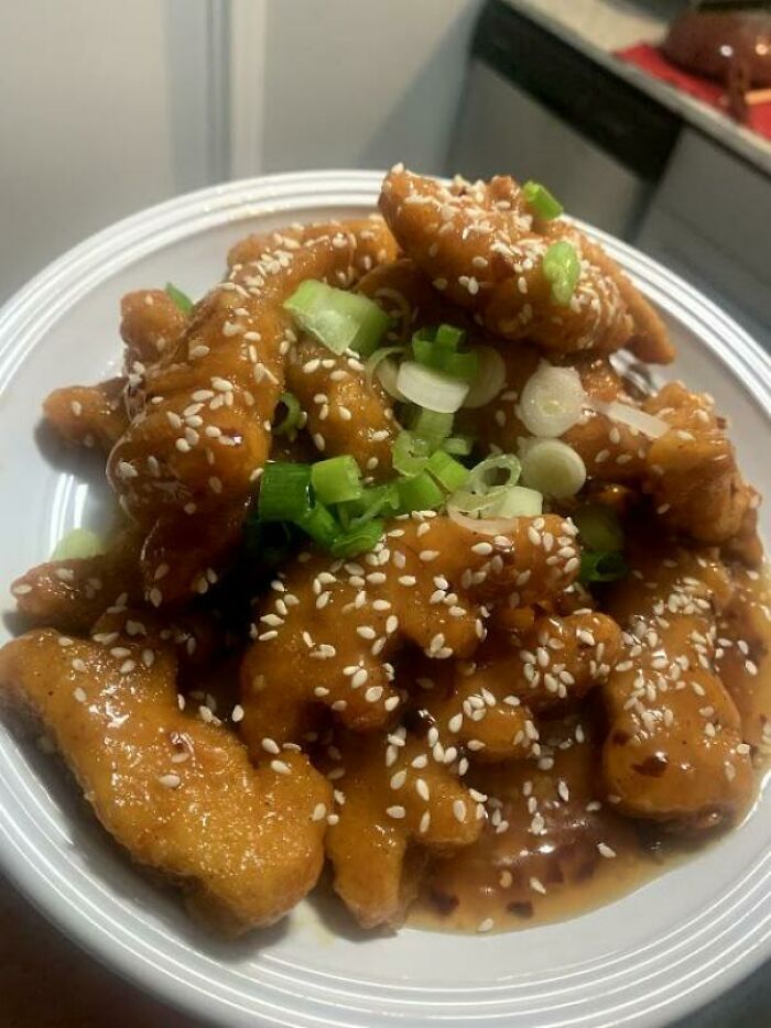 I Got Trashed, Made Orange Chicken Dino Nuggets