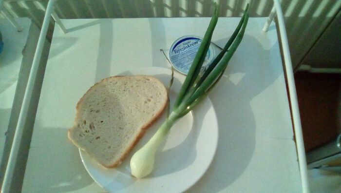 What You Get For Breakfast In A Hungarian Hospital