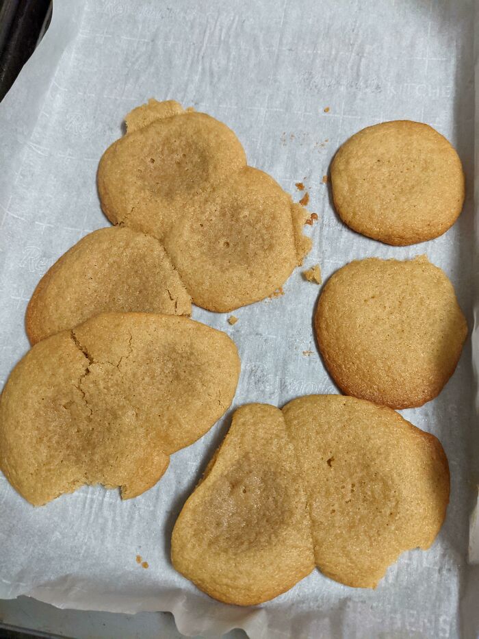 Chocolate Chip Cookies But Without The Chocolate Chip Cause My Sister Ate The Chocolate Chips Are You Kidding Me