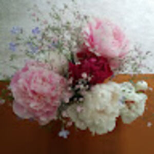 sheilahughes_1 avatar