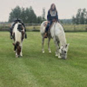 jocelynpeters avatar