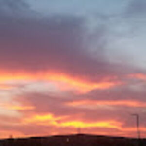 wheretheseedbegins avatar