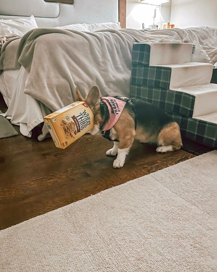 Caught Me Munchin' In Corner - Wasn't Me 