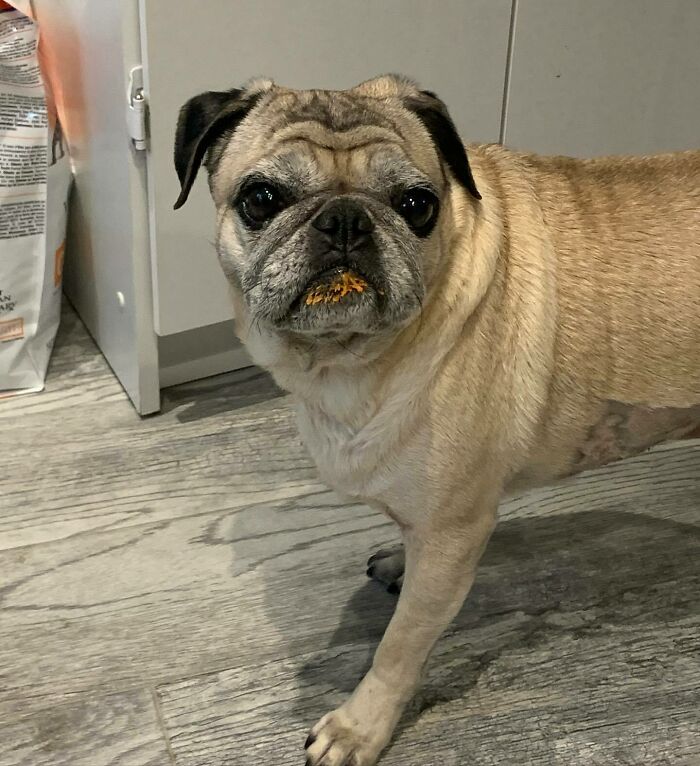 What? It Wasn’t Me