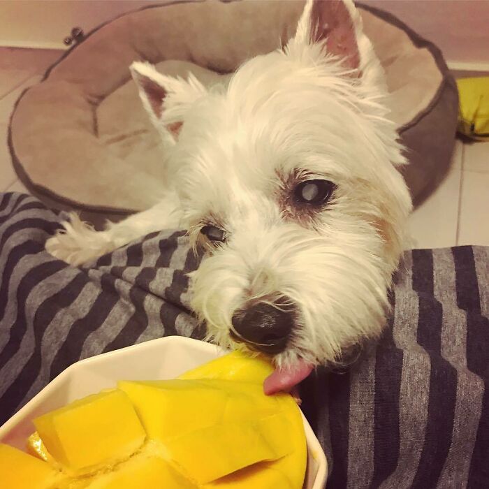 Oops Caught In The Act. I Just Follow Where My Nose Brings Me