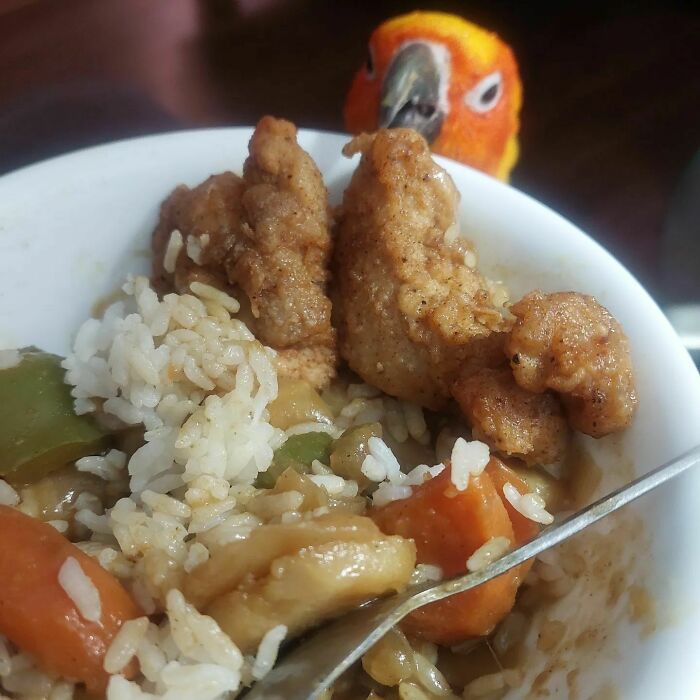 Excuse Me Sir, This Is My Curry