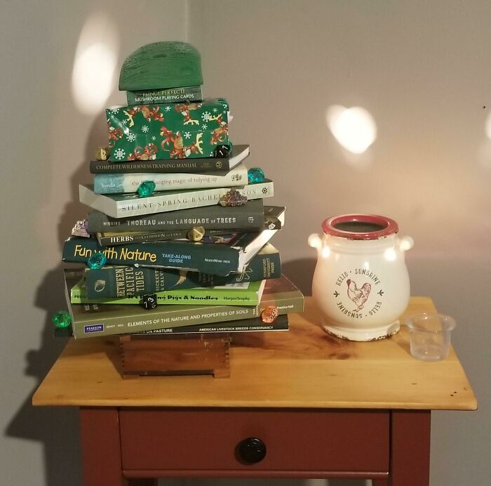 Zero Waste Christmas Tree!