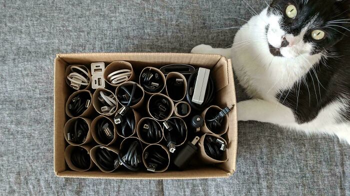 Do You Have A Rats Nest Of Cables? Do You Poop?