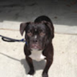 romellamaramag-perez avatar