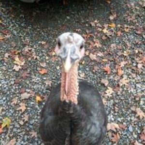 littlebitkc143 avatar