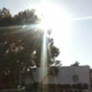 pa2wa2laatgmaildotcom avatar