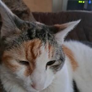 y_walker_simpson avatar