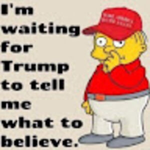 codeinedreamingfuture avatar