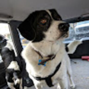 clarkgriswald avatar