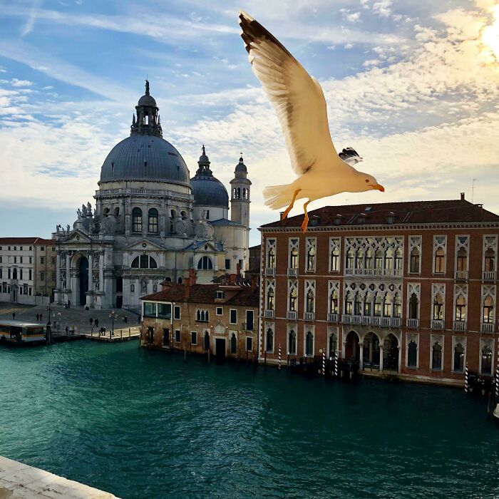 Taken With A Phone Out Of My Hotel Window In Venice... And No Boats!