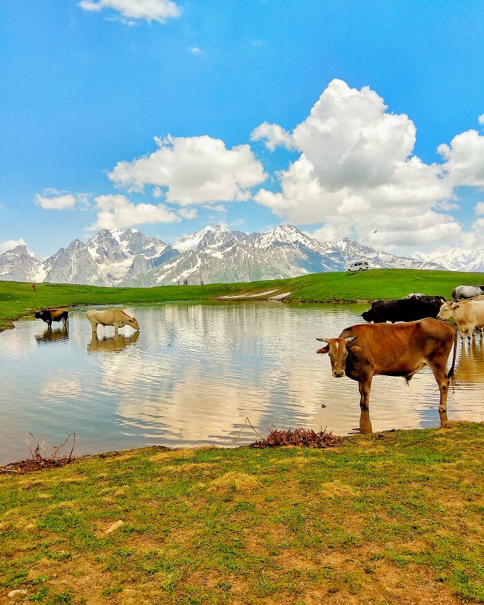 Hiking In Svaneti, Georgia