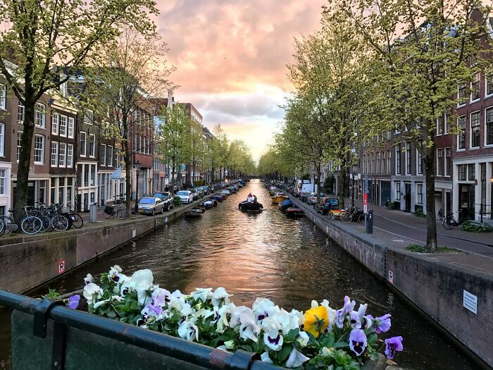 Sunset In Amsterdam! Took This The Night Before The King's Day Chaos Ensued