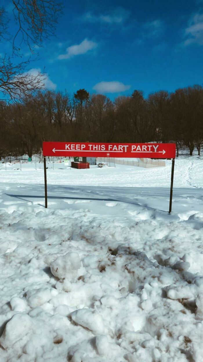 Spotted Today In Prospect Park